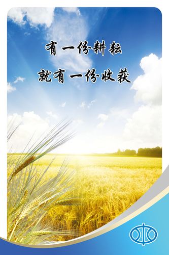 kaiyun官方网站:2022年新时代的伟大成就心得体会(新时代的伟大成就总结300字)